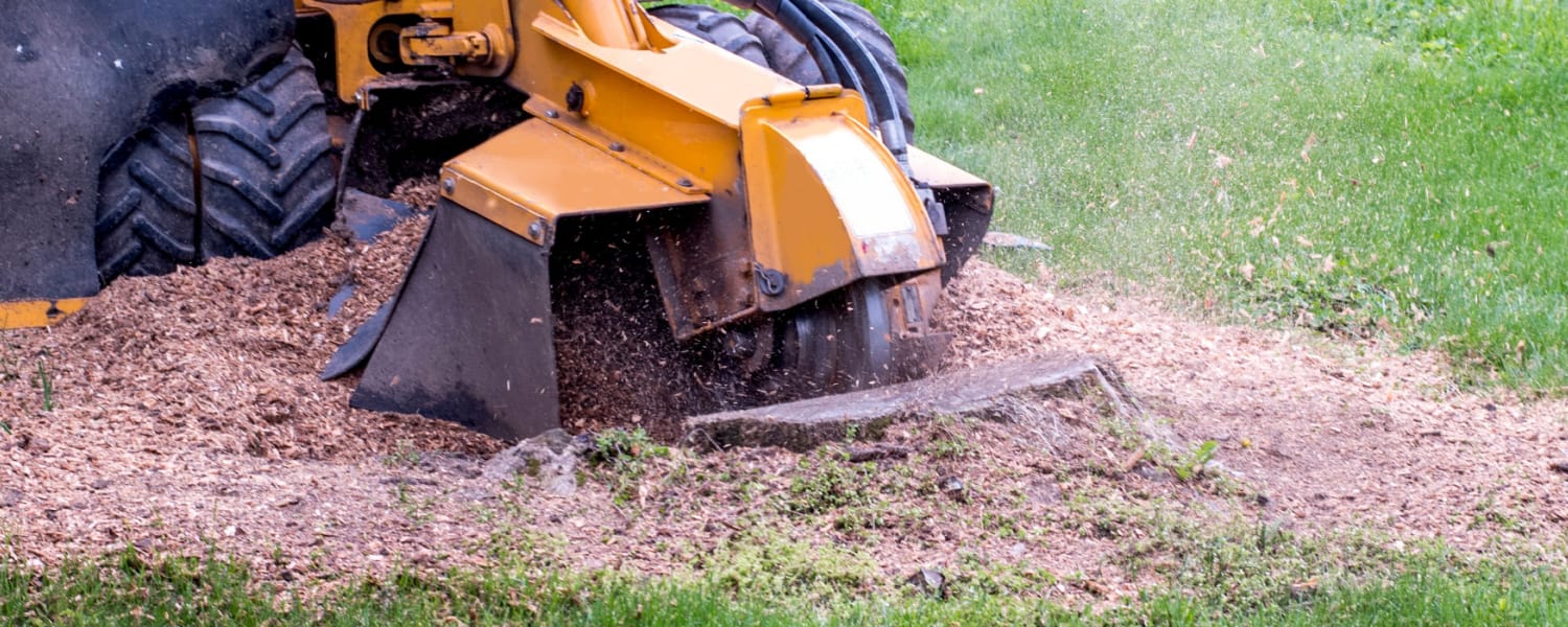 Commercial Tree Stump Grinding Willowbrook, IL