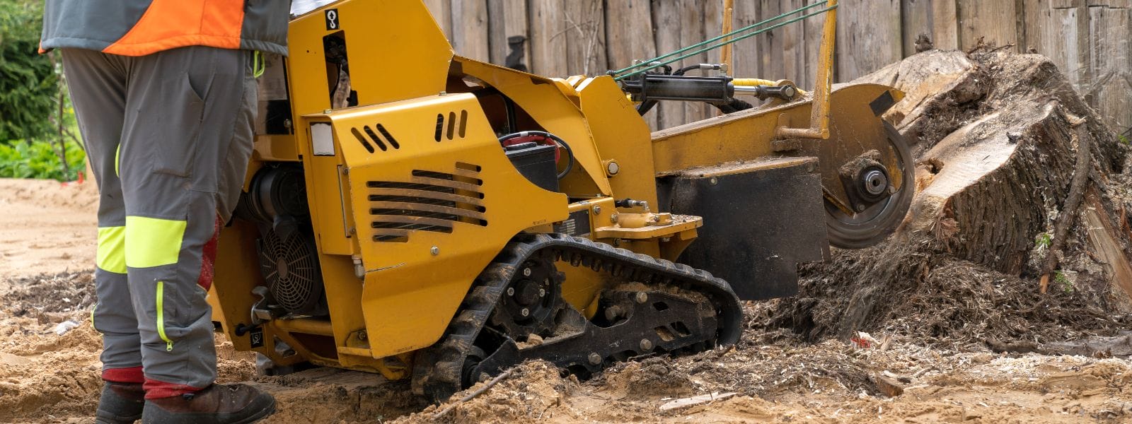 Burr Ridge IL Stump Removal