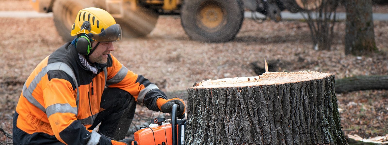 Emergency Stump Removal Burr Ridge IL