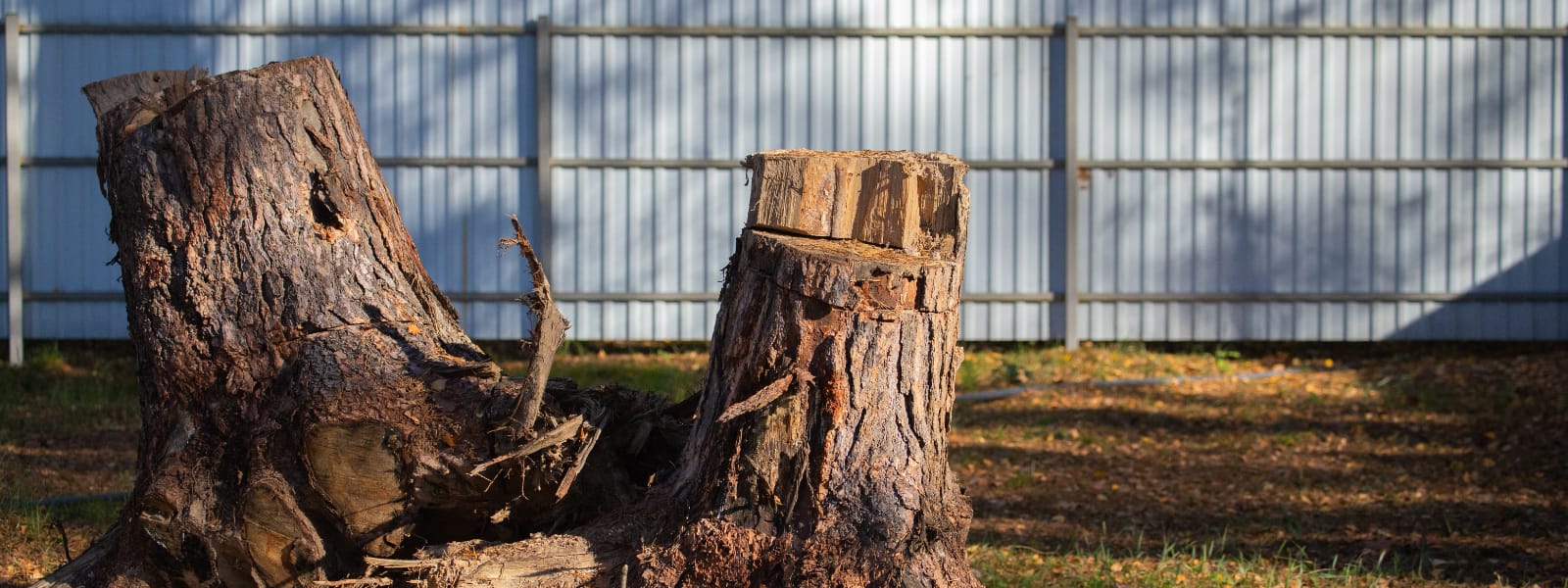 Hinsdale IL Stump Removal