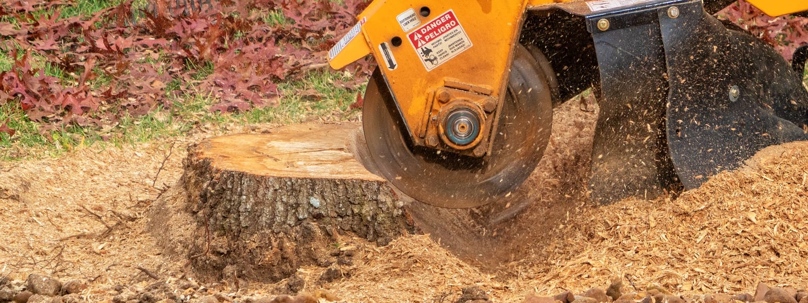 Stump Grinding Services Burr Ridge IL