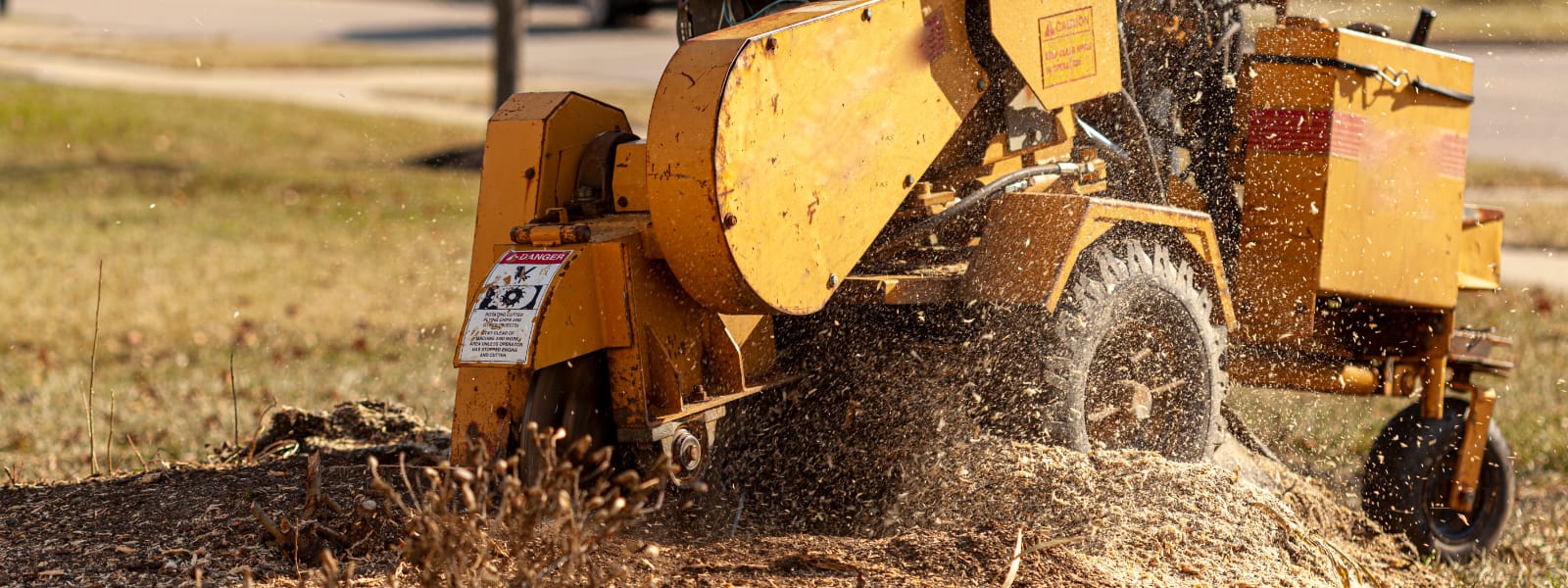 Stump Grinding Services Hinsdale IL