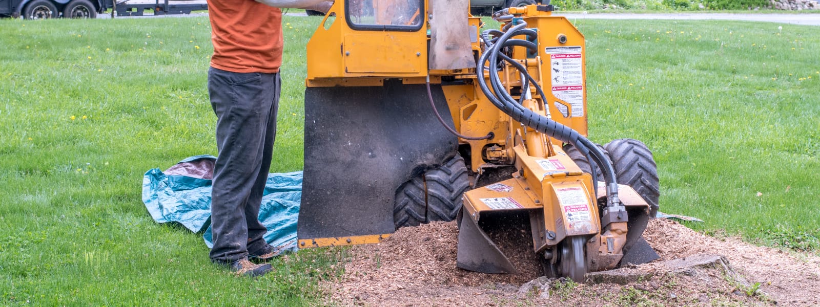 Tree Stump Grinding Burr Ridge IL