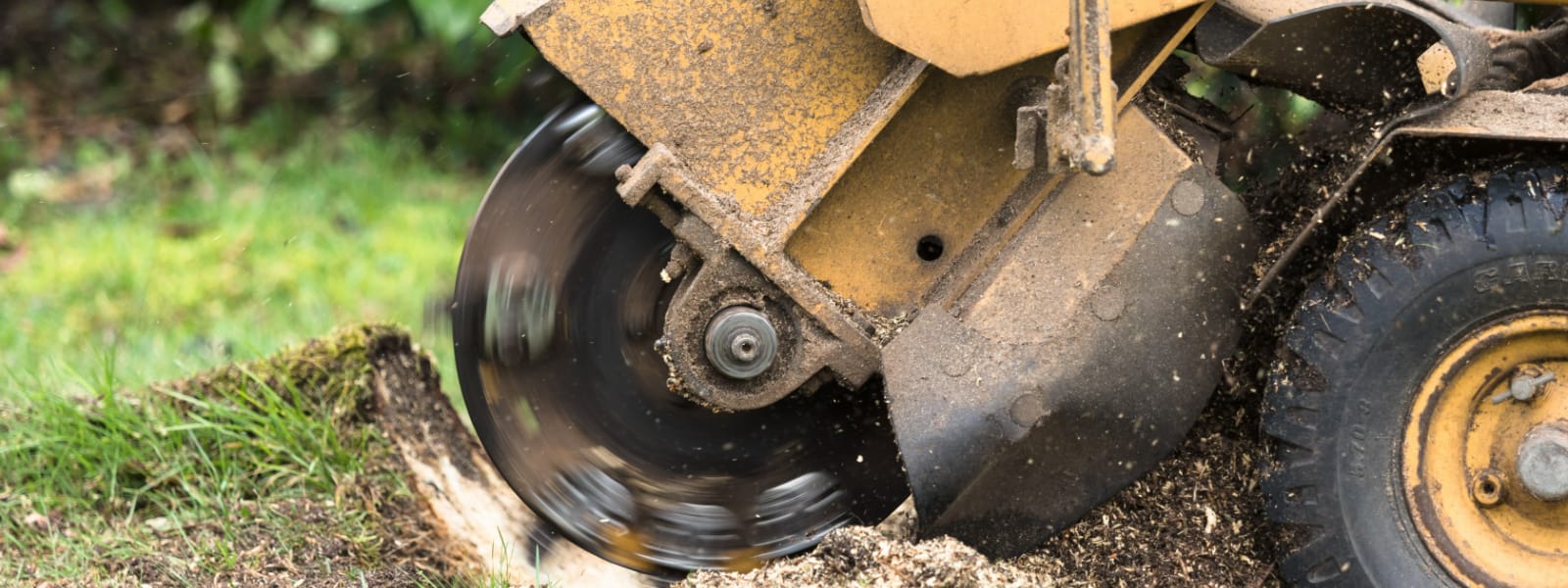 Tree Stump Grinding Hinsdale IL